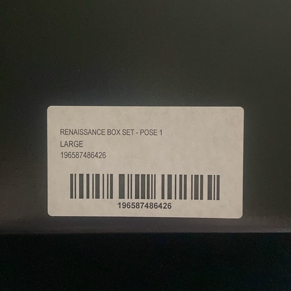 COPY - Beyonce renaissance act i box/pose 1 - Picture 8 of 8